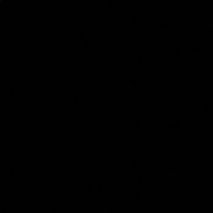 Meet your Posher, Jocelyn